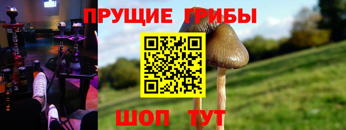 Галлюциногенные грибы мицелий Зеленодольск